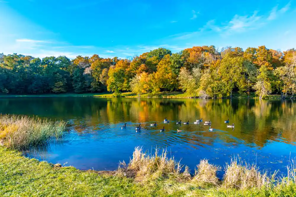 Potawatomi Woods and Lake