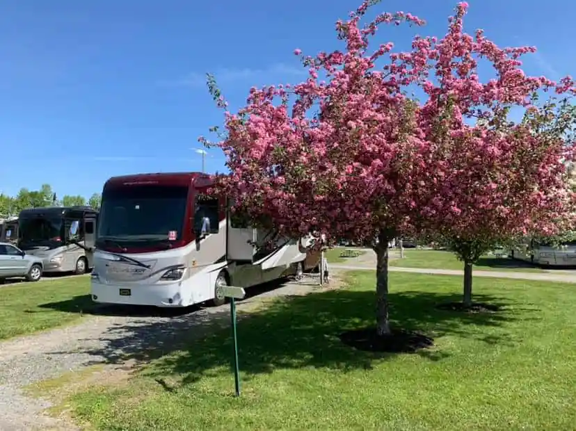 Pumpkin Patch RV Resort