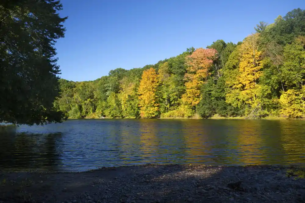 Robinson State Park