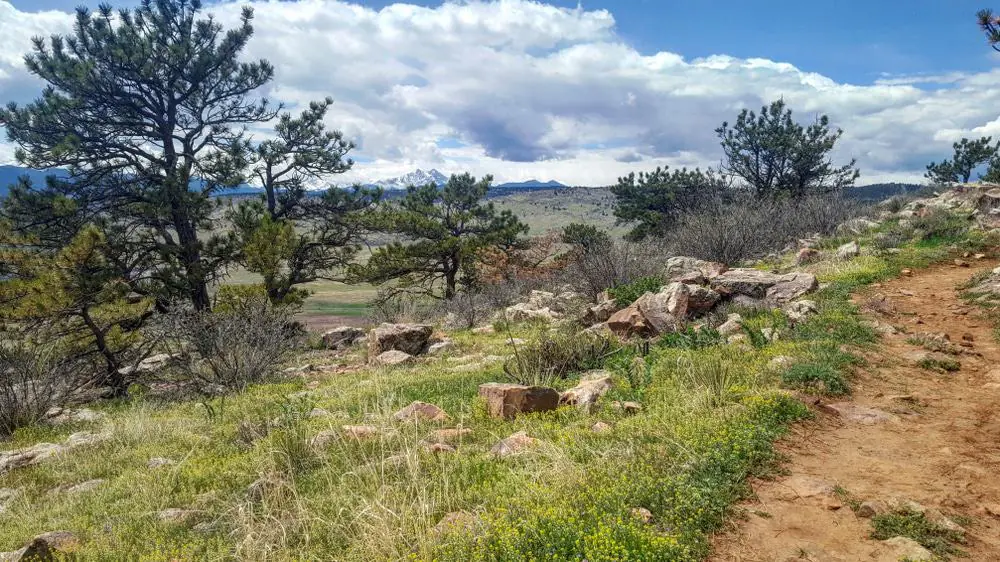 Ron Stewart Preserve at Rabbit Mountain