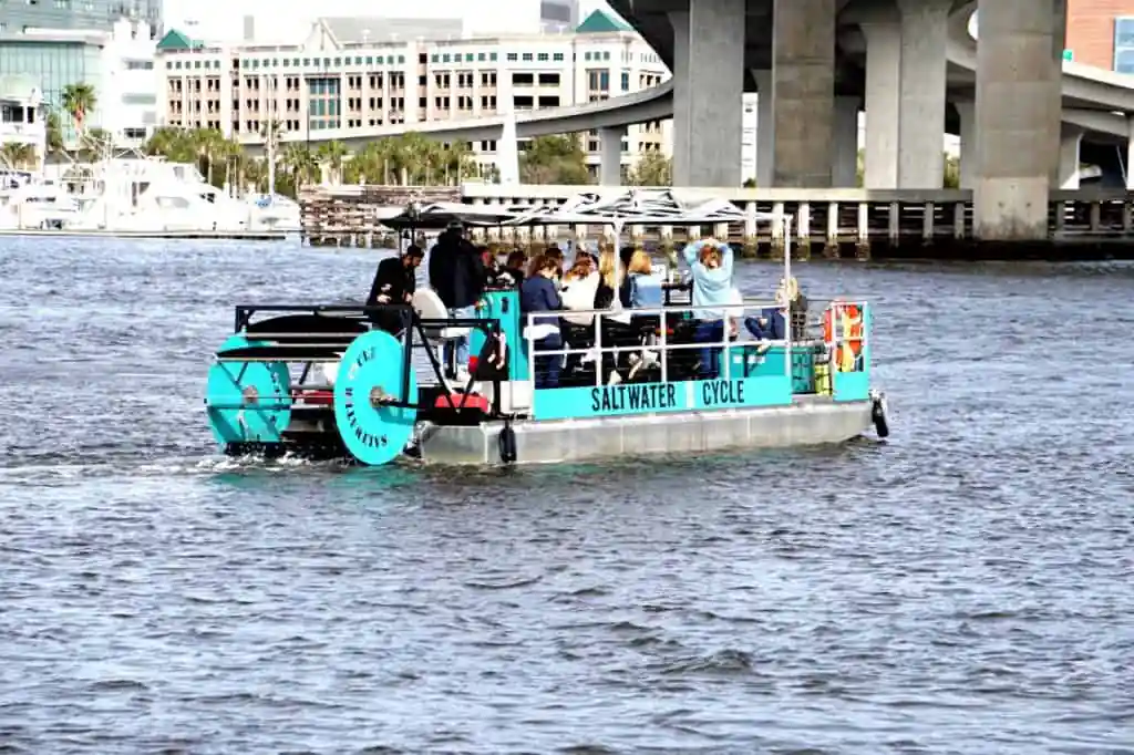Saltwater Cycle