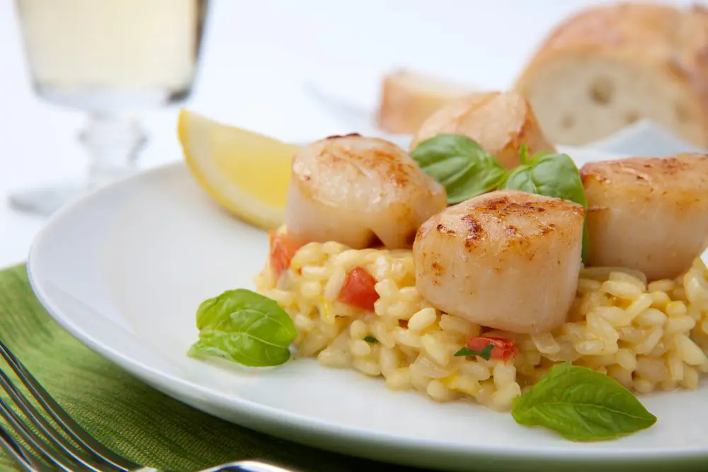 Sea Scallops Risotto