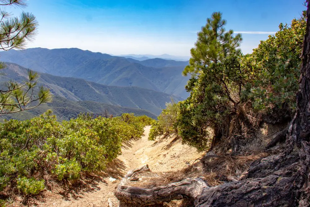 Holy Jim Trail