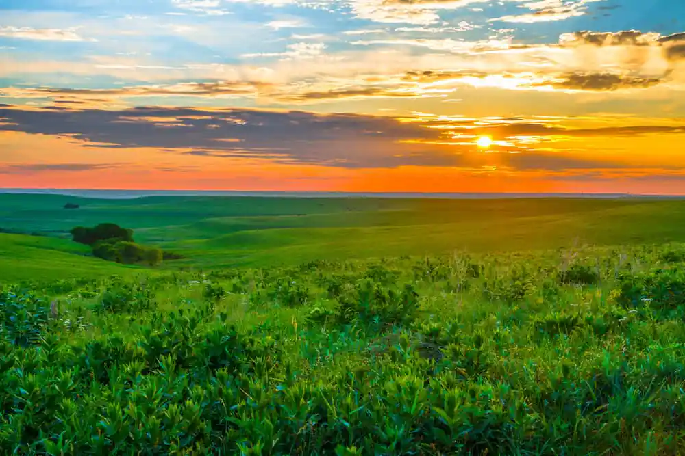 The Flint Hills