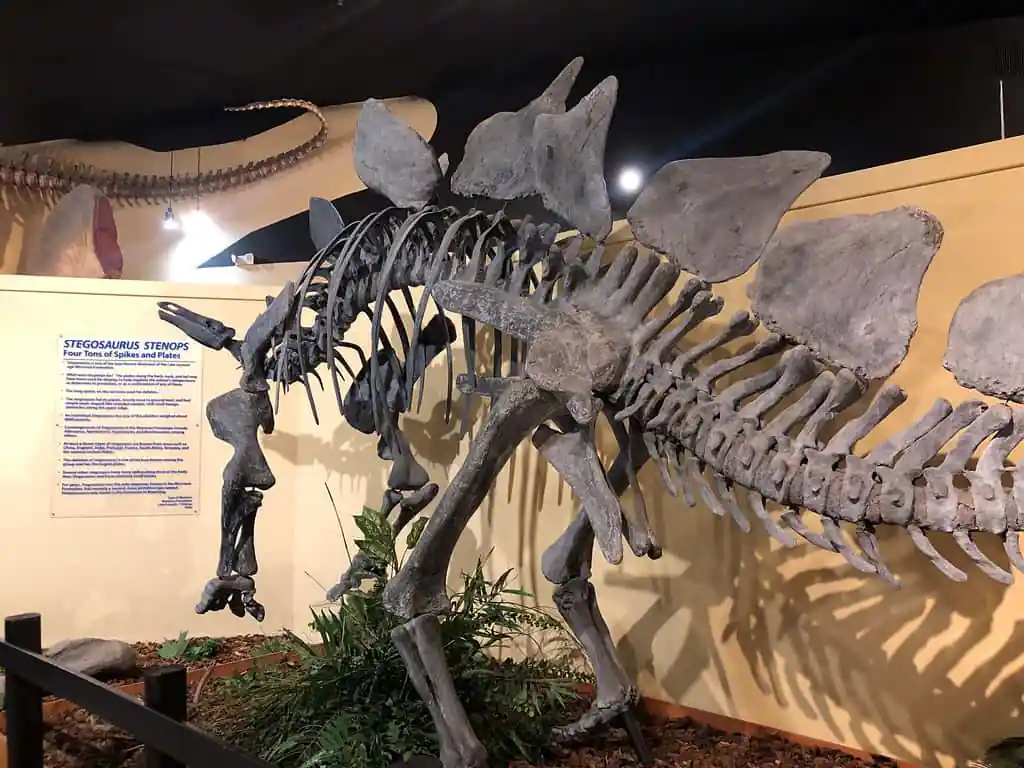Museum of Western Colorado β Dinosaur Journey