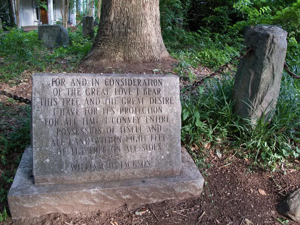 The Tree That Owns Itself