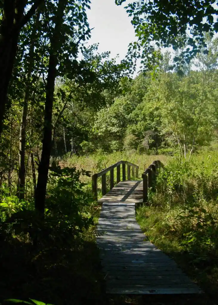 Tolleston Dunes Trail