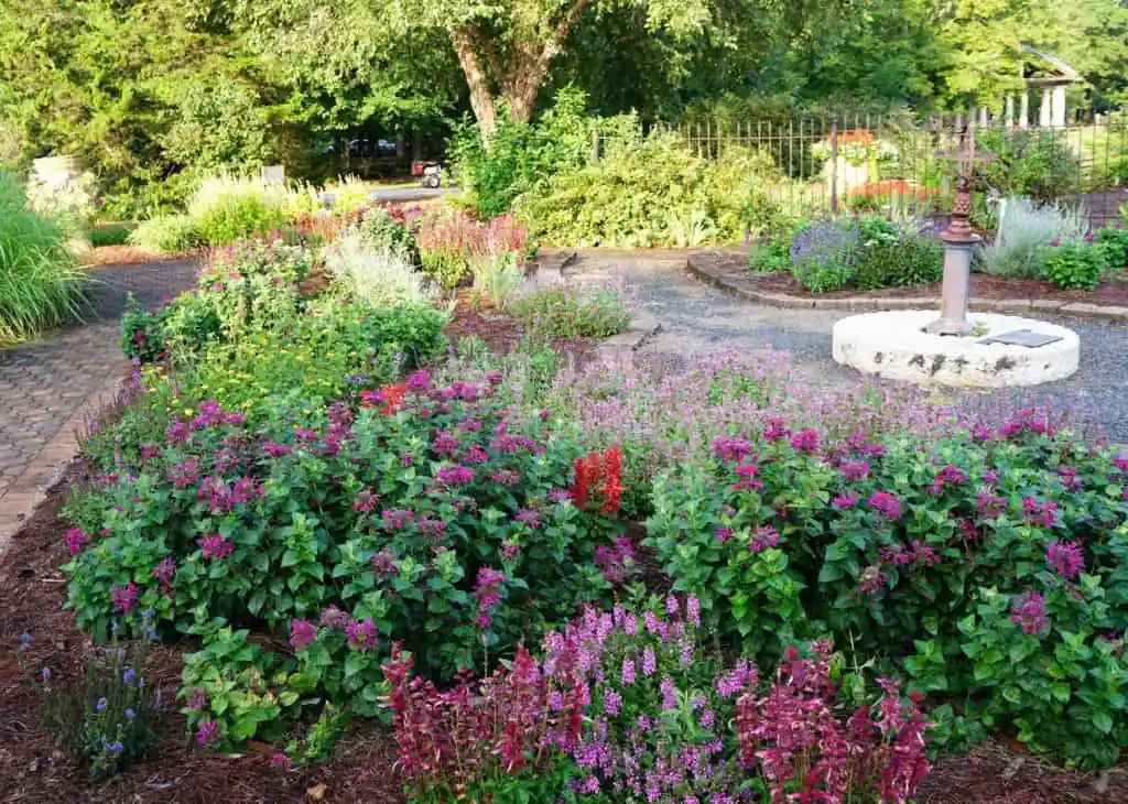 UGA Research and Education Garden