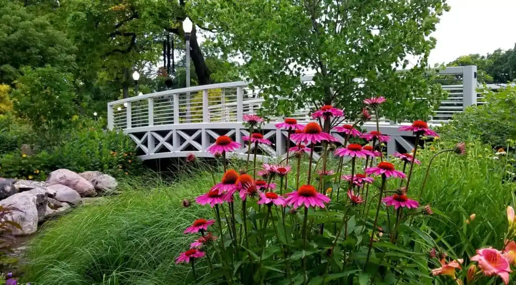 Wellfield Botanic Gardens