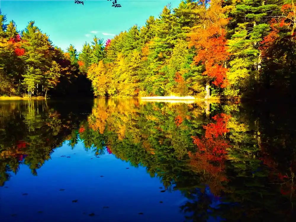 Windsor Lake