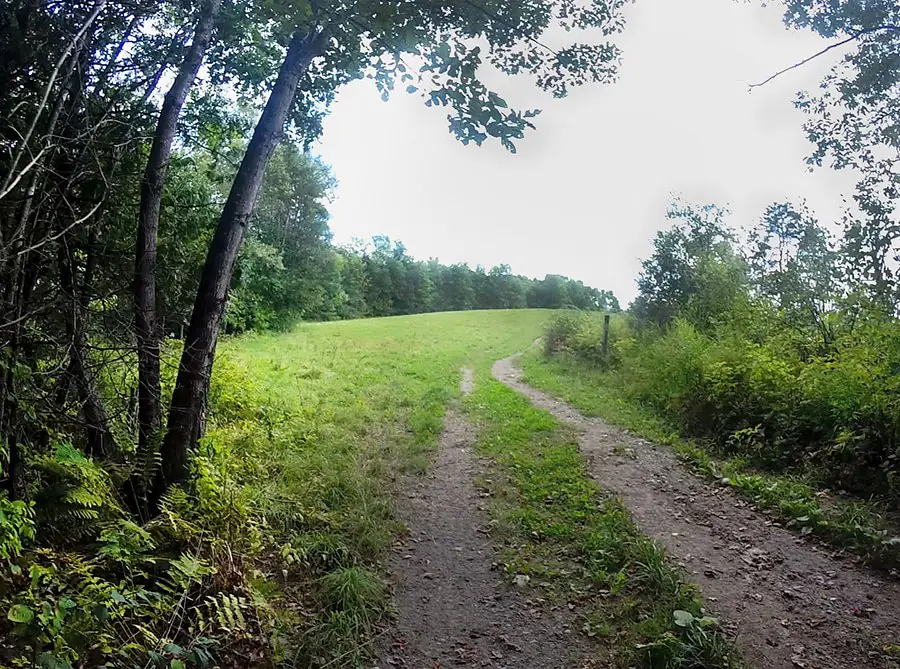 Yankee Woodlot Trail