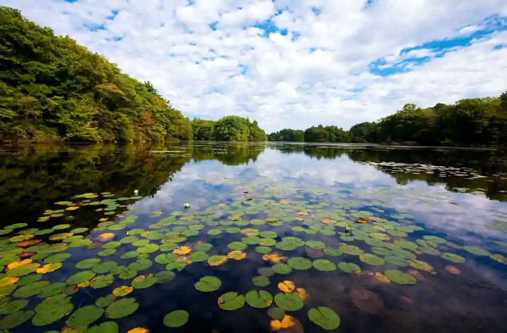 Ames Long Pond