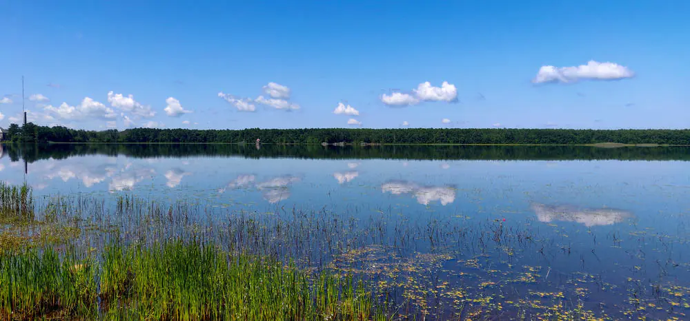 Assawompset Pond Complex