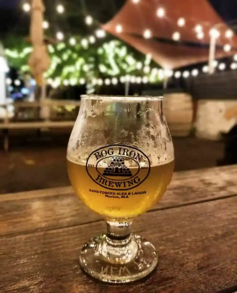 Bog Iron Brewing