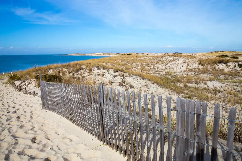 Cape Henlopen State Park