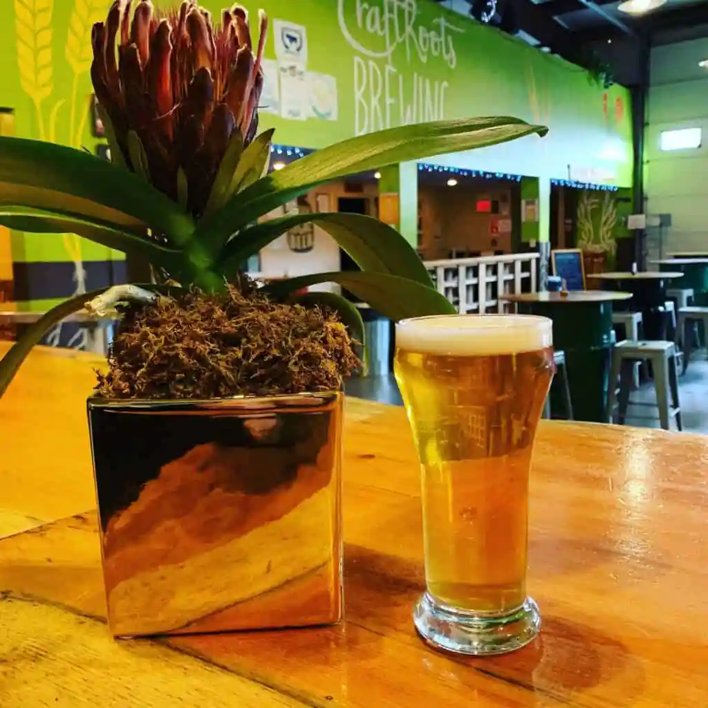 CraftRoots Brewing