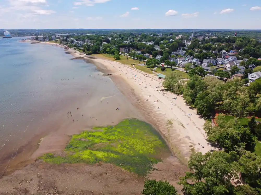 Dane Street Beach