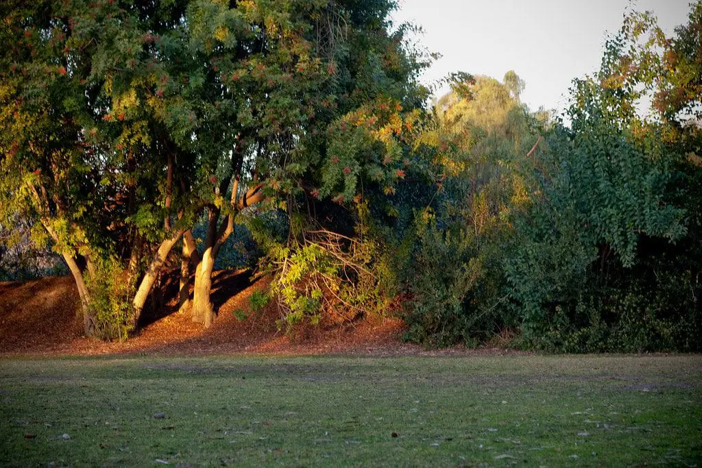Galster Wilderness Park