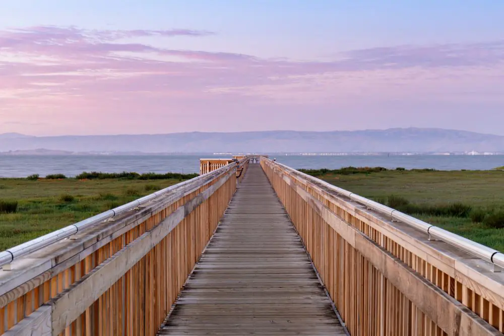 Baylands Nature Preserve
