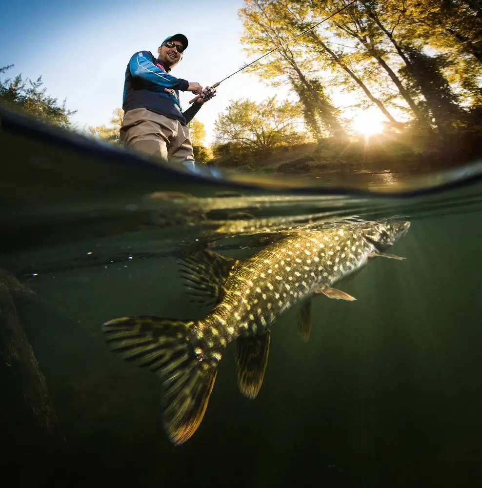 fishing