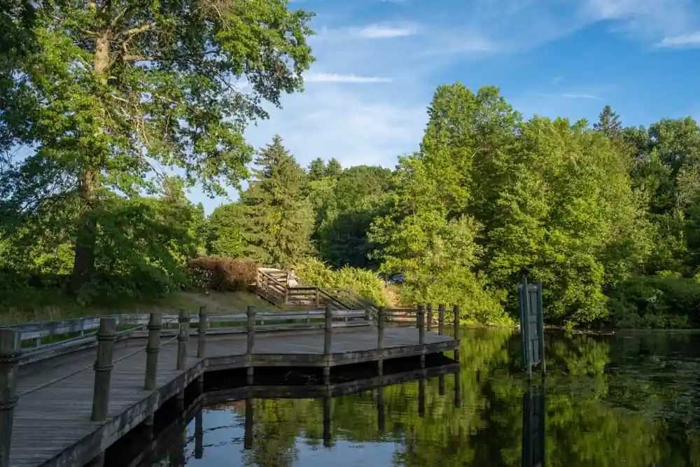 Springfieldβs Forest Park