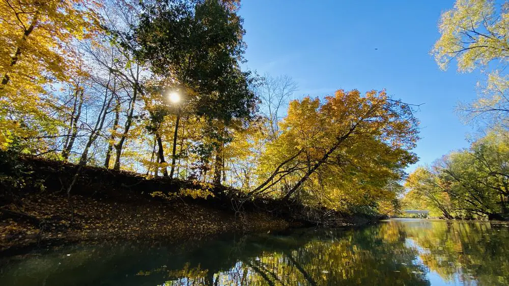 Wildcat Creek