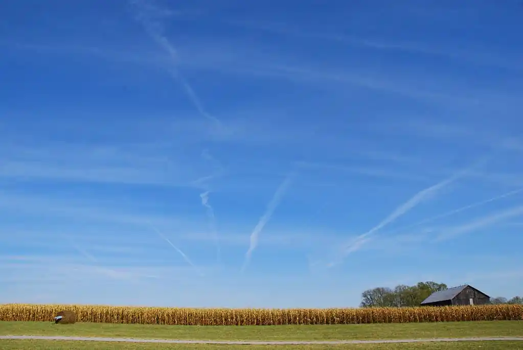 Gallrein Farms