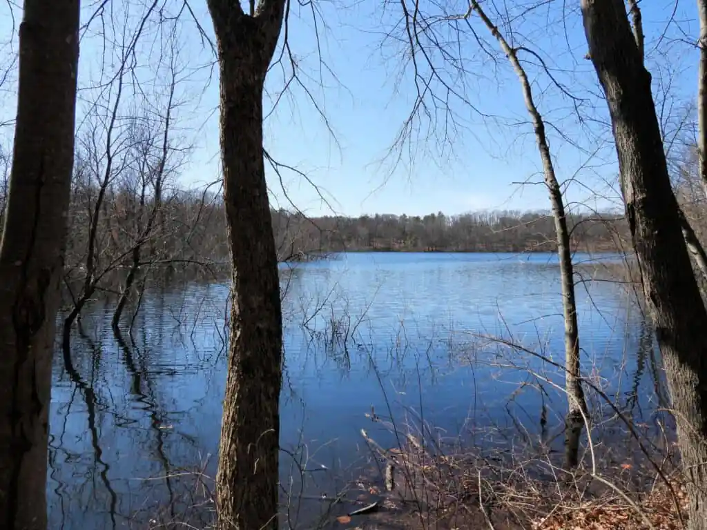 Gammino Pond Conservation Area