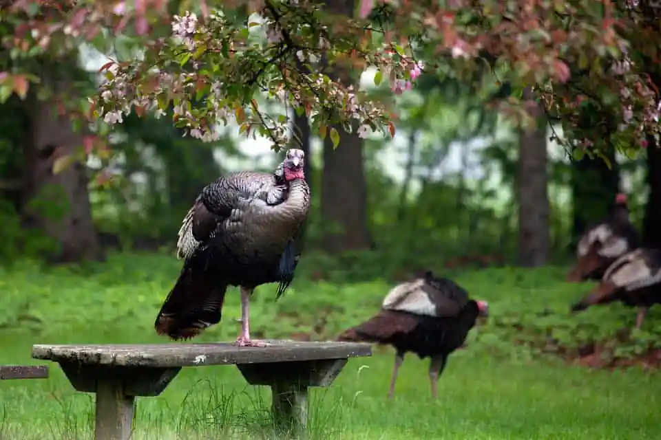 Gilsland Farm Audubon Center