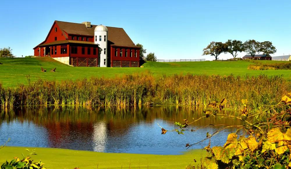 Gibbet Hill Farm