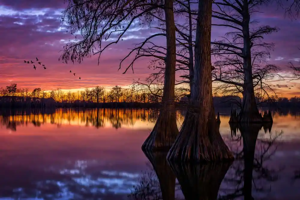 Horseshoe Lake State Park