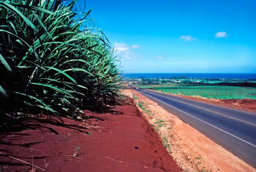 Kamehameha Highway
