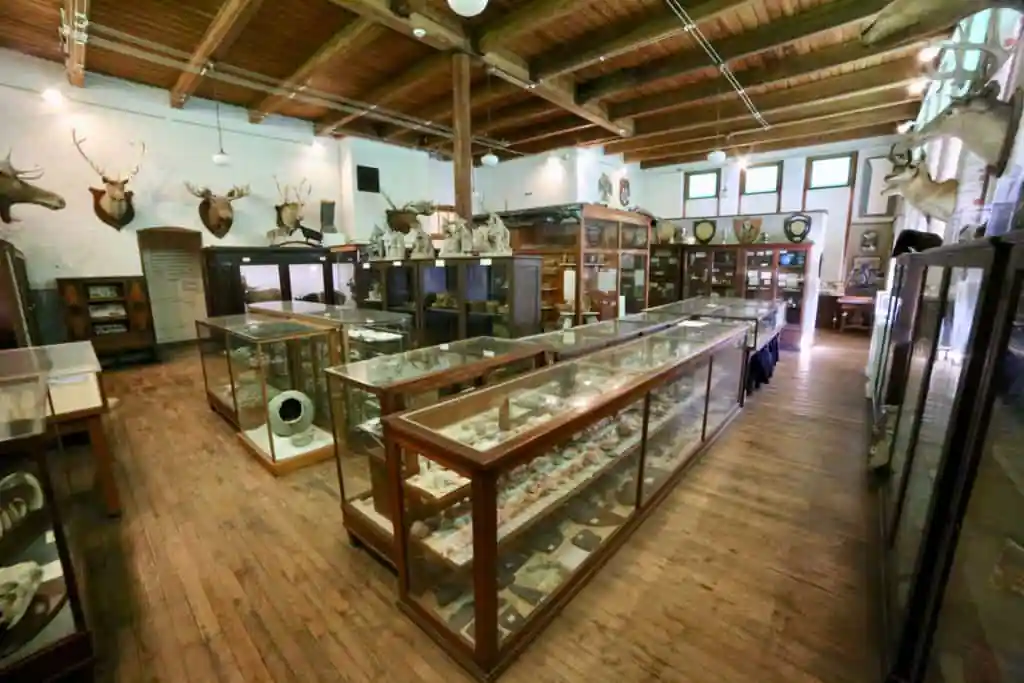 L.C. Bates Museum At Good Will-Hinckley