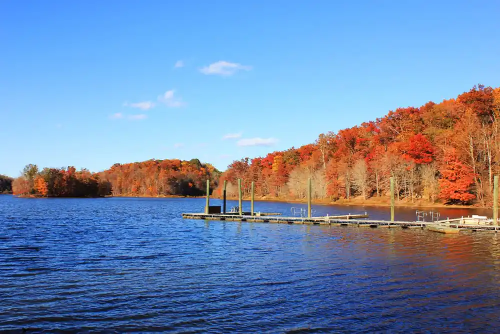 Lake Needwood