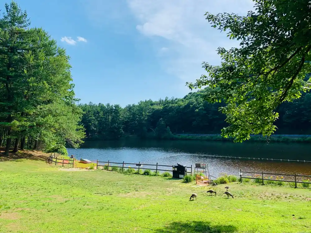 Leominster State Forest