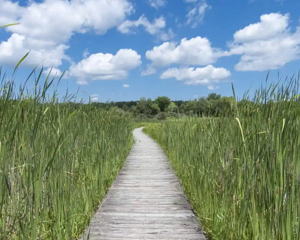 Moraine Hills State Park
