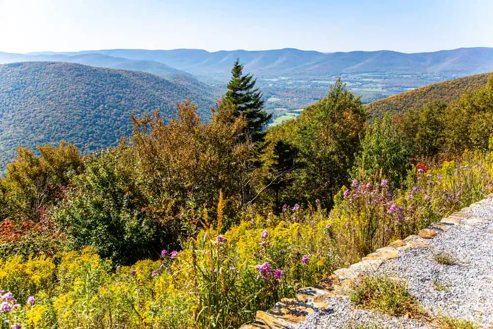 Mount Greylock State Reservation