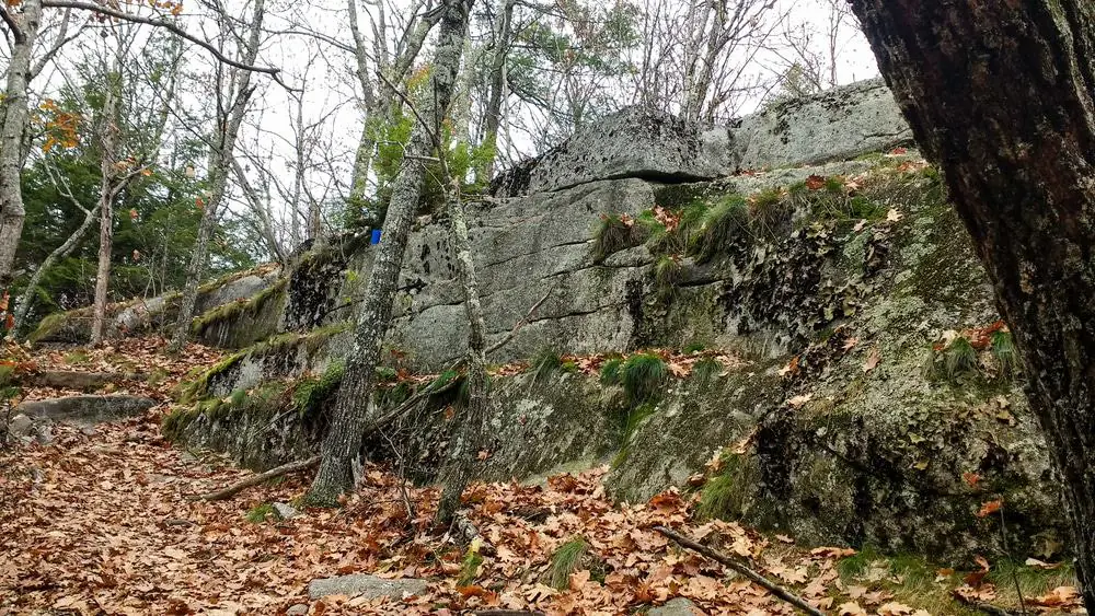 Mount Phillip Trail