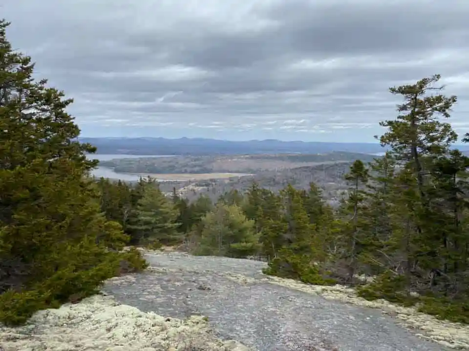 Mount Waldo
