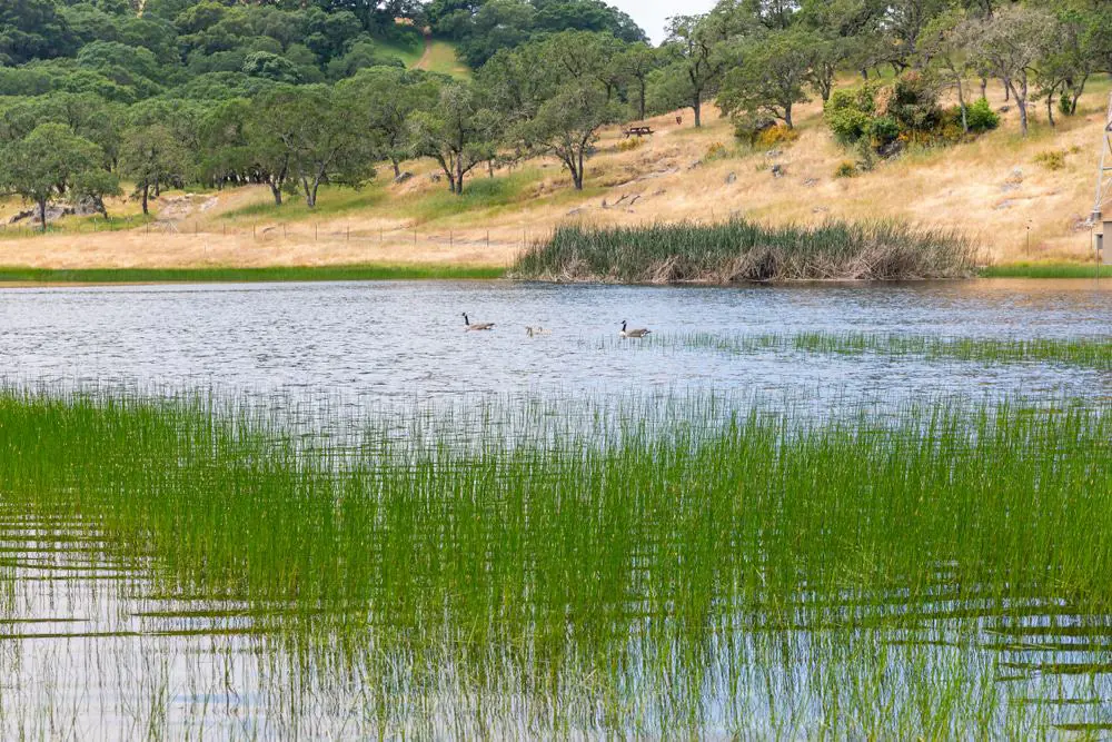 Rockville Hills Regional Park