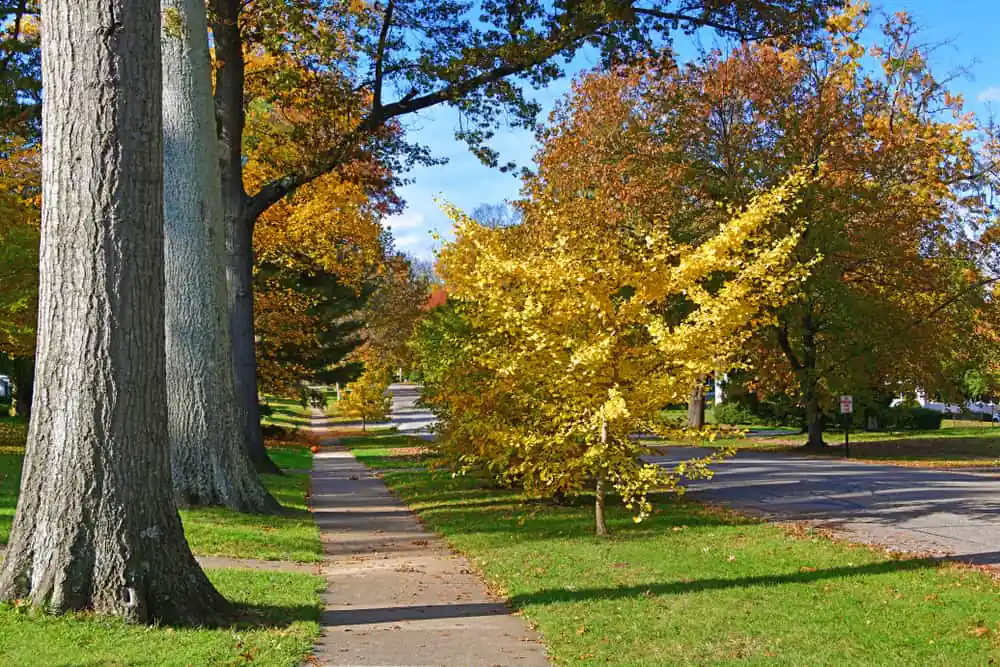 Seneca Park