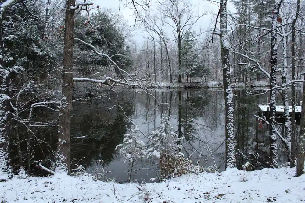 Shawnee National Forest, Carbondale