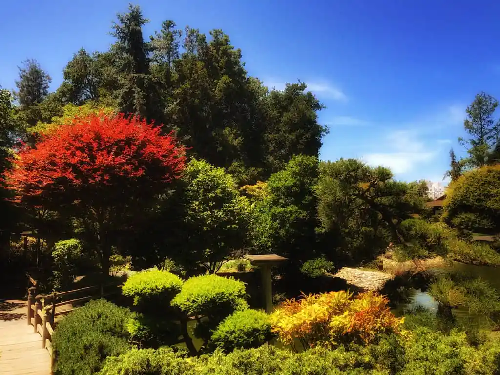 San Mateo Japanese Garden