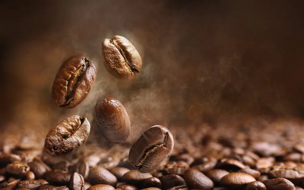 Coffee