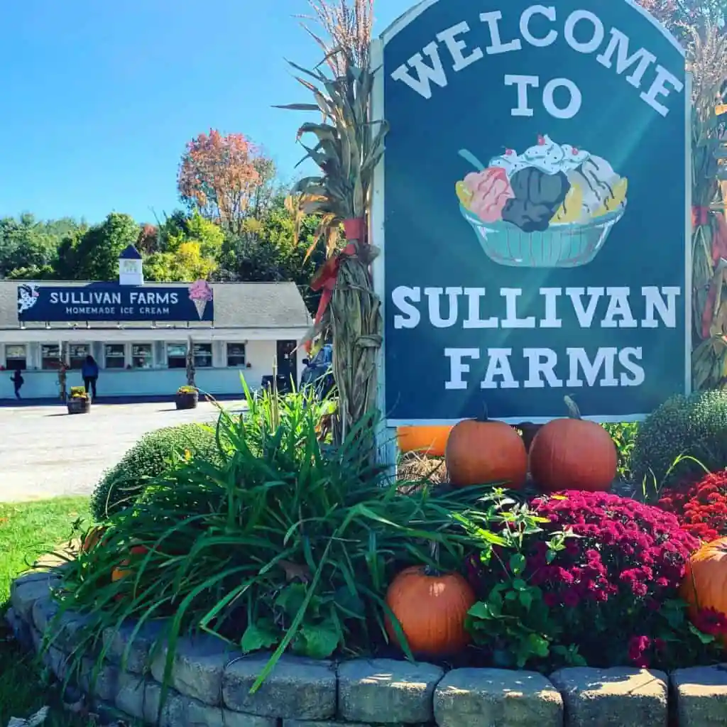 Sullivan Farms Homemade Ice Cream