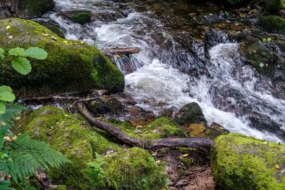Waterfall