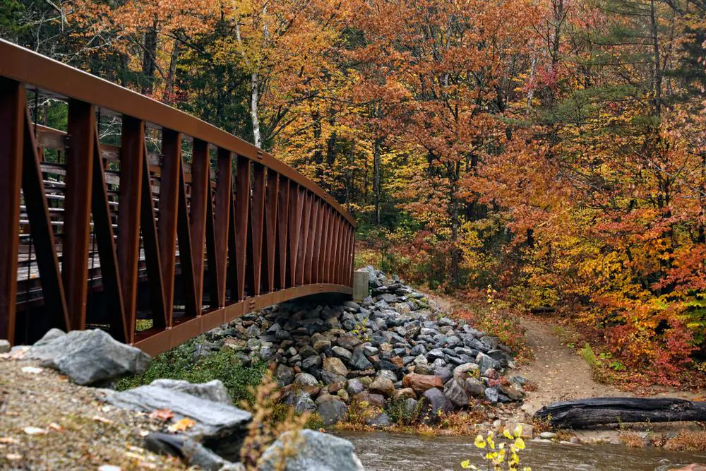 White Mountain National Forest