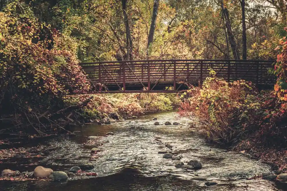 Bidwell Park