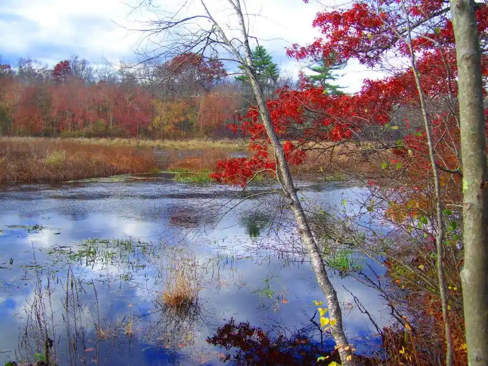 Boyden Park