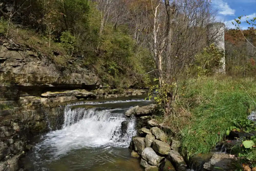 Cove Spring Park